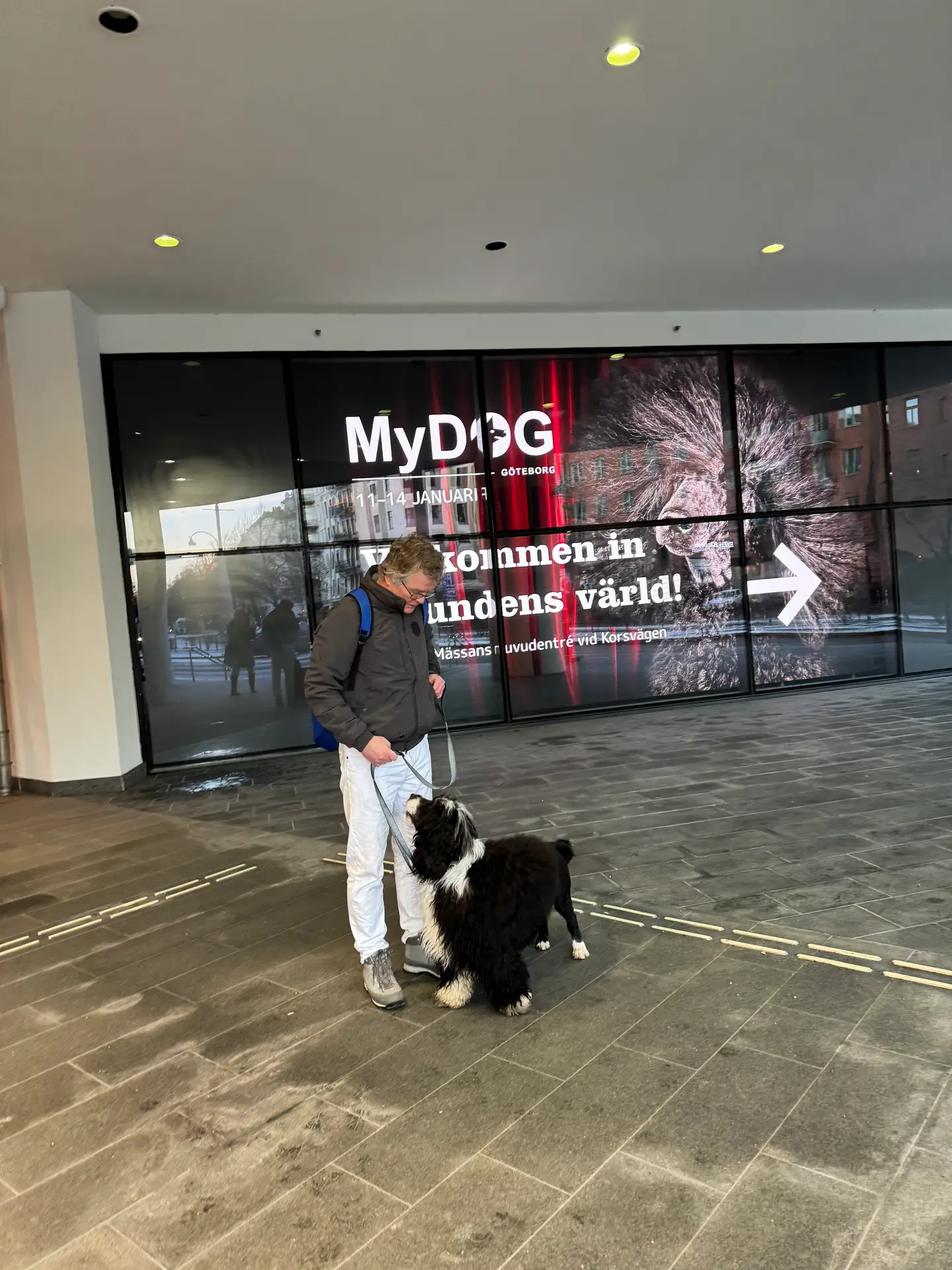 Read more about the article MyDog Show in Gothenburg