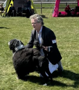 Read more about the article Skara International Dog Show