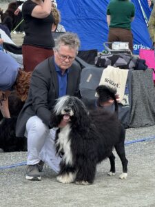 Read more about the article International Dog Show at Fannrem