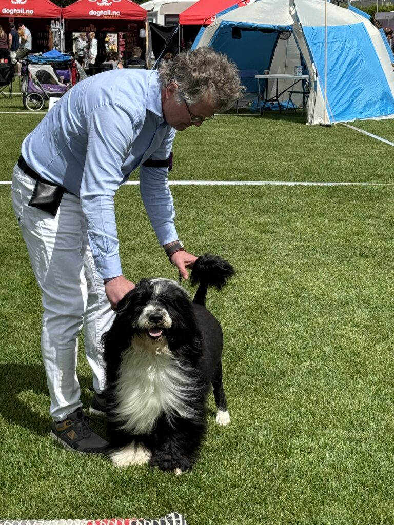 National Dog Show at Maura