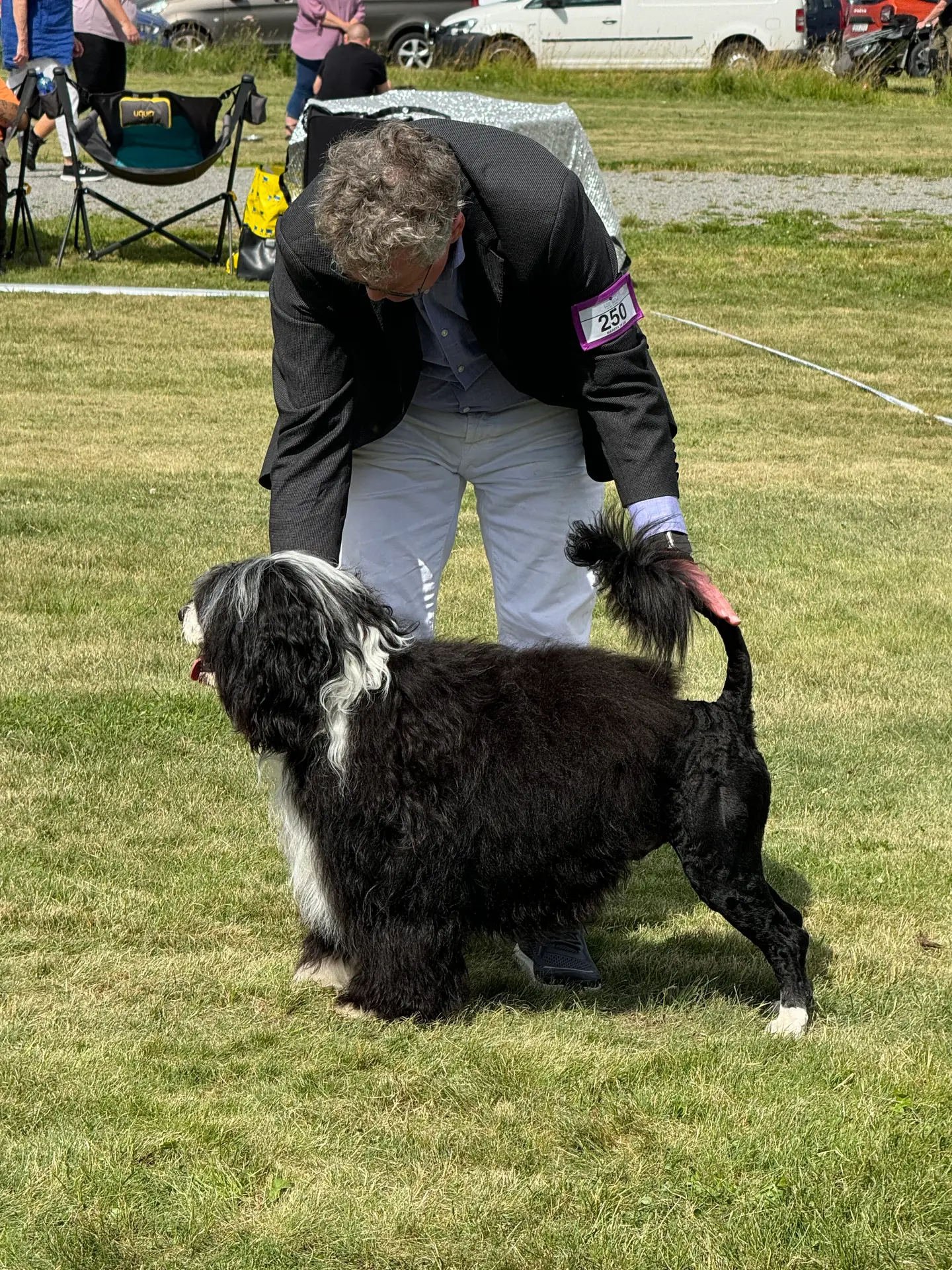 Read more about the article International Dog Show in Märsta